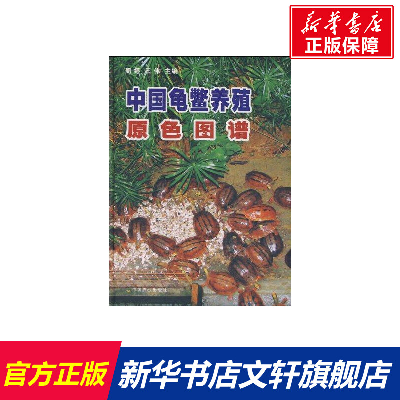 中国龟鳖养殖原色图谱 周婷 著 正版书籍 新华书店旗舰店文轩官网 中国农业出版社