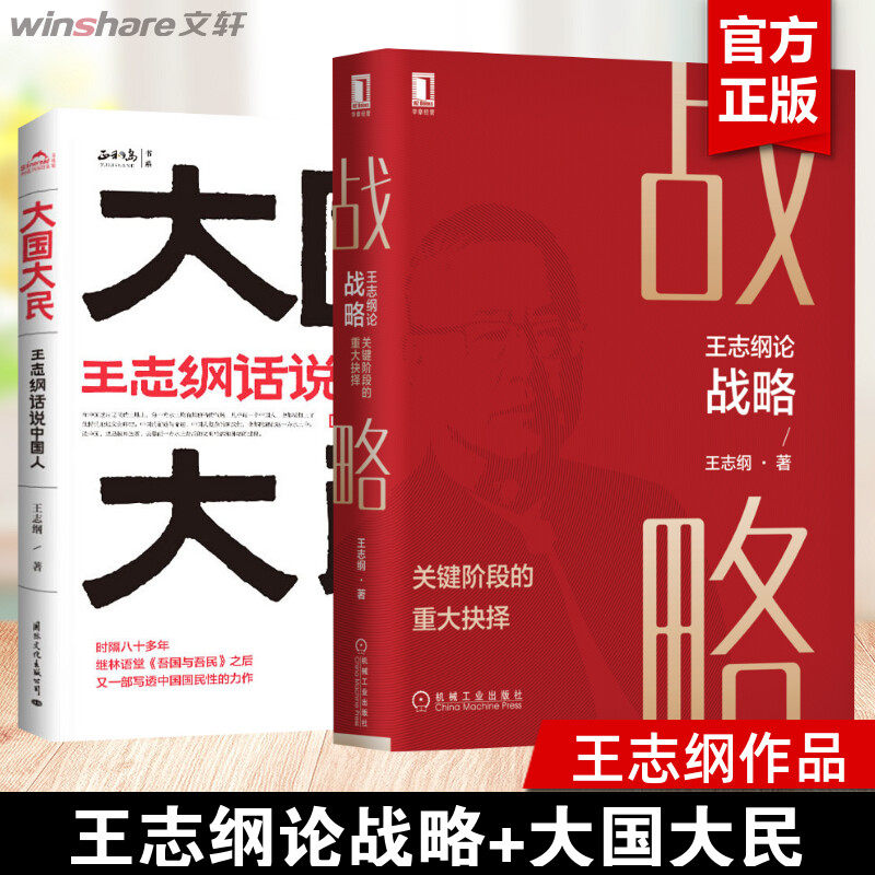 王志纲论战略+大国大民 王志纲 机械工业出版社等 正版书籍 新华书店旗舰店文轩官网