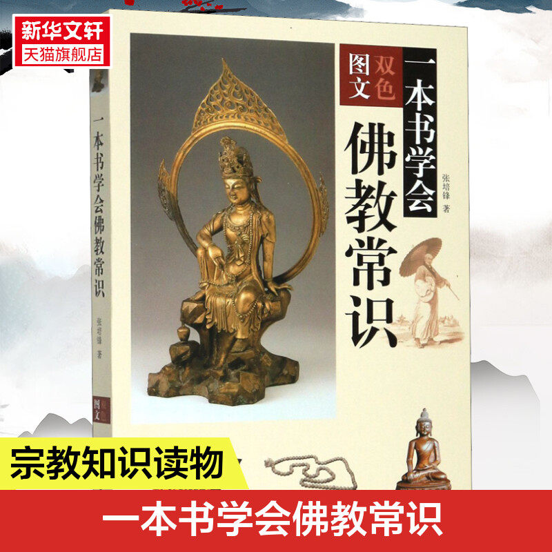 新华书店 一本书学会佛教常识 佛教的基础知识 中国佛教的起源 佛教在中国的传播和发展 了解佛教文化的入门书宗教知识读物