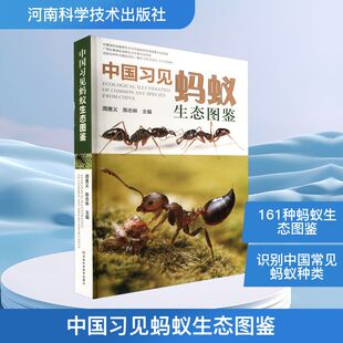 中国习见蚂蚁生态图鉴 正版书籍 新华书店旗舰店文轩官网 河南科学技术出版社