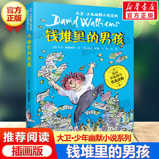 钱堆里的男孩 大卫少年幽默小说系列7-10岁必小学生三年级四年级五六年级课外书推荐阅读英国家庭教育读物儿童文学经典故事书正版