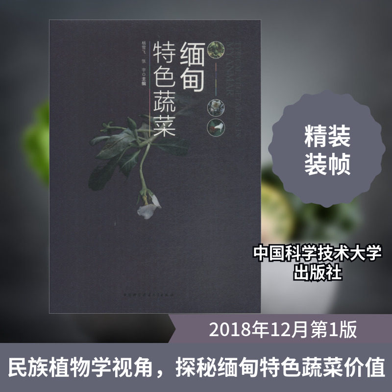 缅甸特色蔬菜 家常菜谱大全 养生烹饪书籍 减肥零食低卡减脂沙拉酱减肥早餐 代餐主食食谱 随园食单菜谱大全 新华书店正版图书