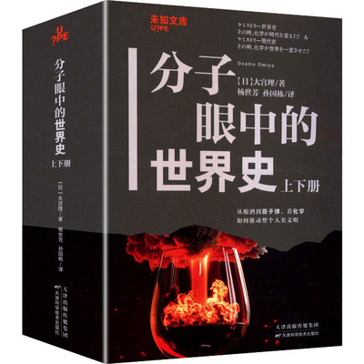 分子眼中的世界史(上下册) (日)大宫理 著 天津科学技术出版社 正版书籍 新华书店旗舰店文轩官网