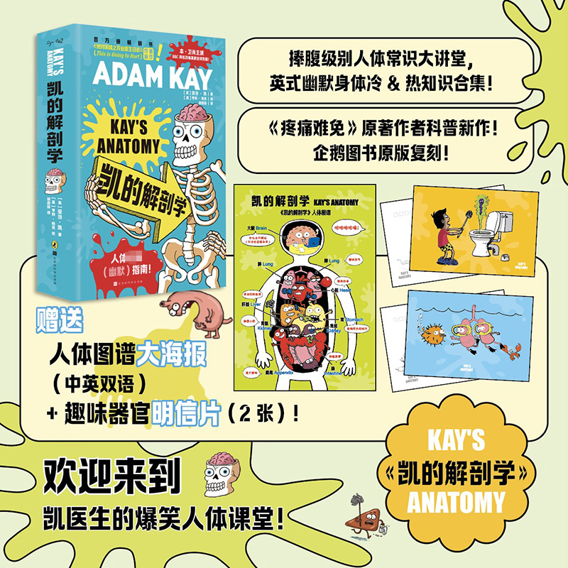 【赠人体图谱大海报+明信片×2】凯的解剖学 亚当·凯著 绝对笑喷之弃业医生日志作者 捧腹级人体常识大讲堂 幽默搞笑科普读物书籍