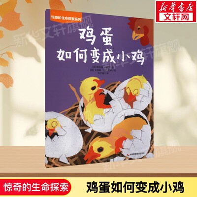 鸡蛋如何变成小鸡 惊奇的生命探索系列 儿童科普绘本生命孕育成长变化主题 三四五六岁百科手绘吉林科学技术出版社