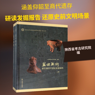 蓝田新街 新石器时代遗址发掘报告(全2册) 文物出版社 正版书籍 新华书店旗舰店文轩官网