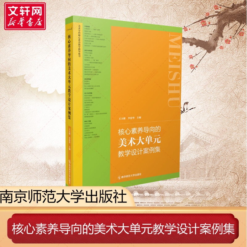 核心素养导向的美术大单元教学设计案例集 王大根新作 课程标准38篇教学案例中小学美术教学学科教学指导用书 南京师范大学出版社