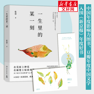 【新华文轩】一生里的某一刻 张春 正版书籍小说畅销书 新华书店旗舰店文轩官网 湖南文艺出版社