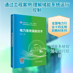 电力系统储能技术 正版书籍 新华书店旗舰店文轩官网 中国电力出版社