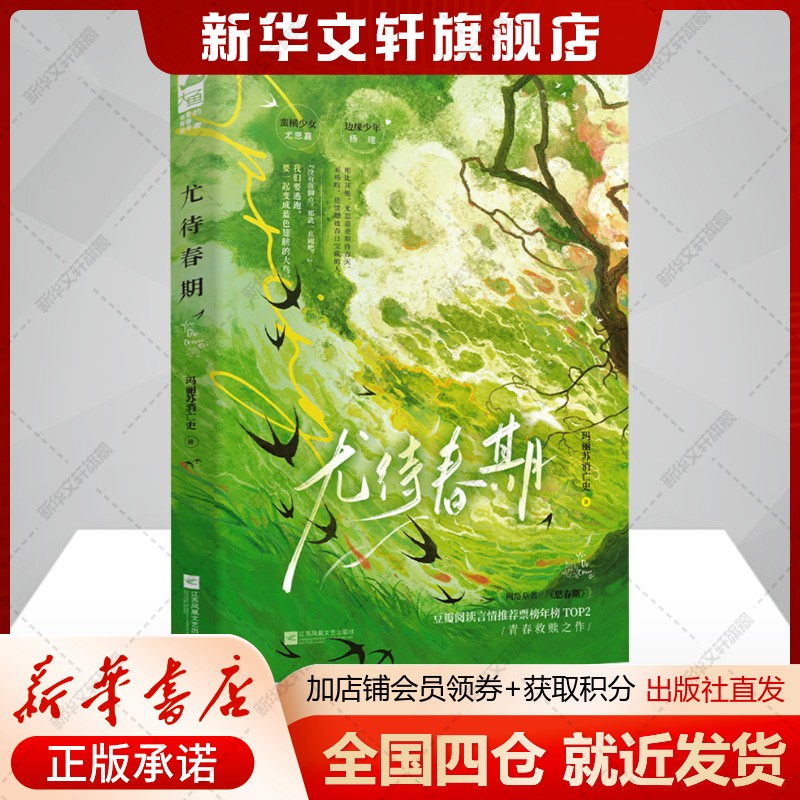 新华书店正版 青春小说 文轩网