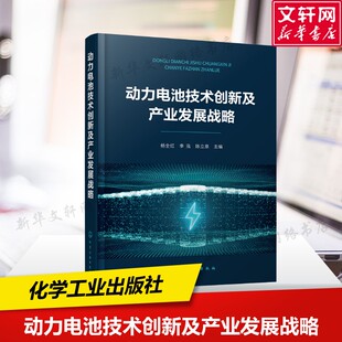 国内外动力电池现状与发展趋势 杨全红 正版 新华文轩 书籍 社 动力电池技术创新及产业发展战略 化学工业出版 等编著
