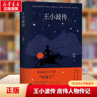 王德威孙郁王尧李洱联袂 梁鸿序言导读 援引一手资料 还原真实 现当代文学散文随笔畅销书 王小波传 王小波 房伟著人物传记新修版