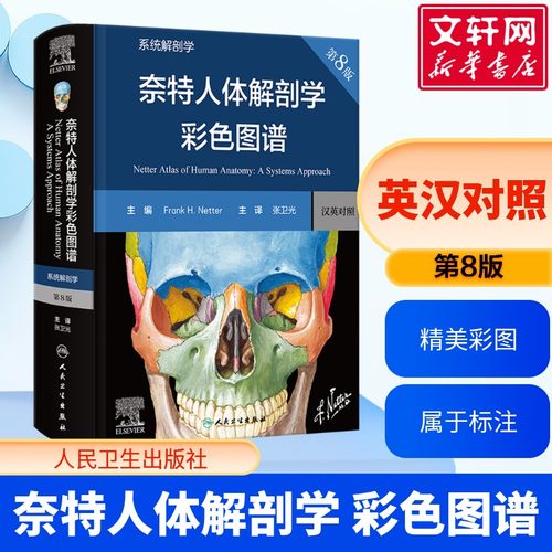 新华书店正版 外科 文轩网
