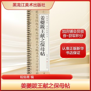 姜夔跋王献之保母帖 经典碑帖书法临摹字卡书法入门基础训练字帖正版书籍 新华书店旗舰店文轩官网 黑龙江美术出版社