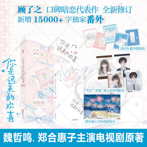 新华书店正版 青春小说 文轩网
