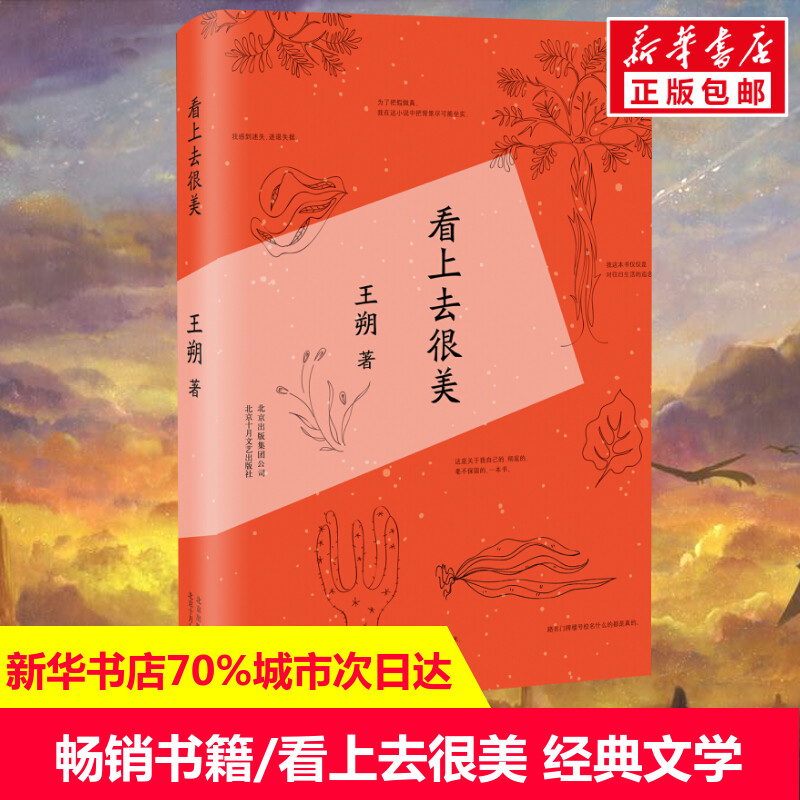 新华书店正版 中国现当代文学 文轩网