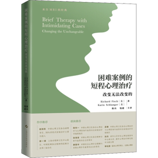 困难案例的短程心理治疗 改变无法改变的 (美)理查德·菲什,(美)卡琳·施兰格 正版书籍 新华书店旗舰店文轩官网