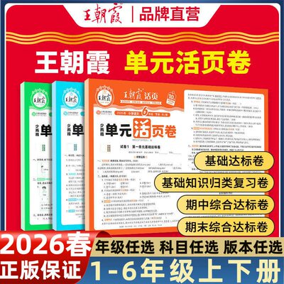 王朝霞单元期末活页卷小学