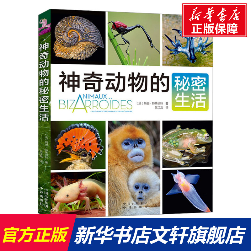 神奇动物的秘密生活 (法)玛丽·特莱伯特 正版书籍 新华书店旗舰店文轩官网 中译出版社