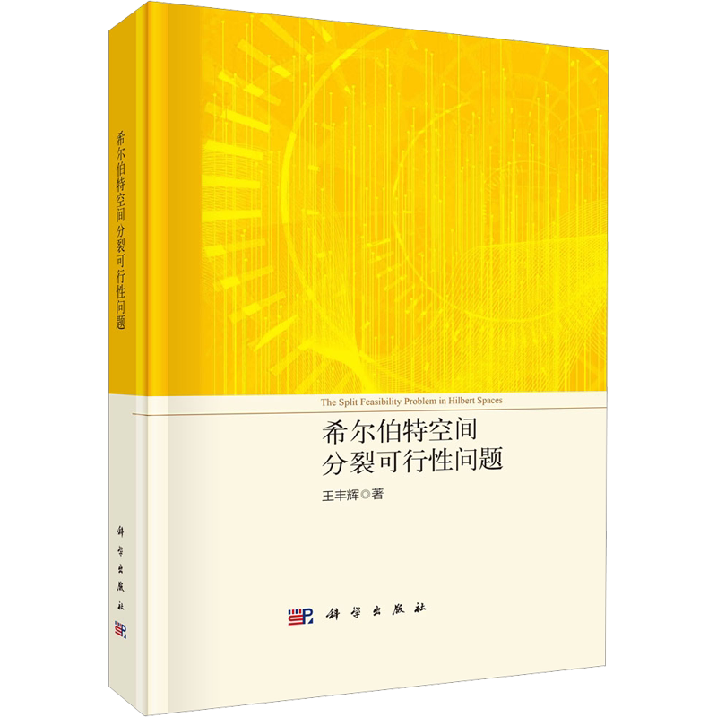 希尔伯特空间分裂可行性问题 王丰辉 正版书籍 新华书店旗舰店文轩官网 科学出版社