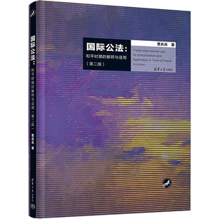 【新华文轩】国际公法:和平时期的解释与适用(第2版) 贾兵兵 正版书籍 新华书店旗舰店文轩官网 清华大学出版社
