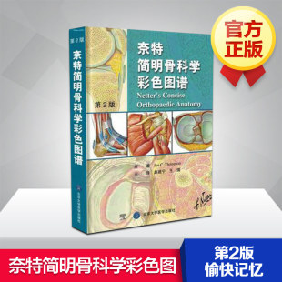 奈特简明骨科学彩色图谱 骨科 精装 第2版 奈特简明骨科学图谱 骨科图谱 图书 医学 北京大学 书籍 奈特人体彩色解剖图谱