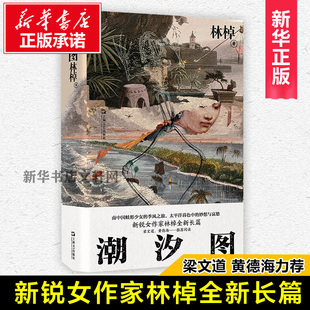 林棹豆瓣年度作者 梁文道黄德海力荐 另著流溪 包邮 小说散文畅销书籍上海文艺 社长篇小说 潮汐图 上海文艺出版 正版 当代文学精装