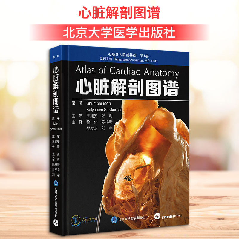 心脏解剖图谱 正版书籍 新华书店旗舰店文轩官网 北京大学医学出版社