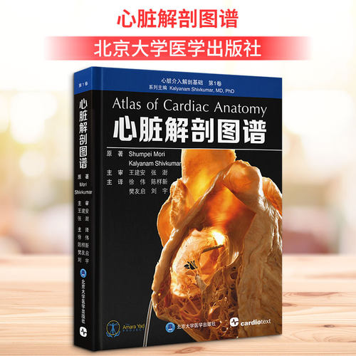 新华书店正版 外科 文轩网