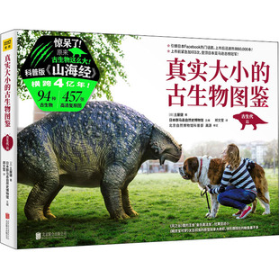 真实大小的古生物图鉴 (日)土屋健 正版书籍 新华书店旗舰店文轩官网 京华出版社