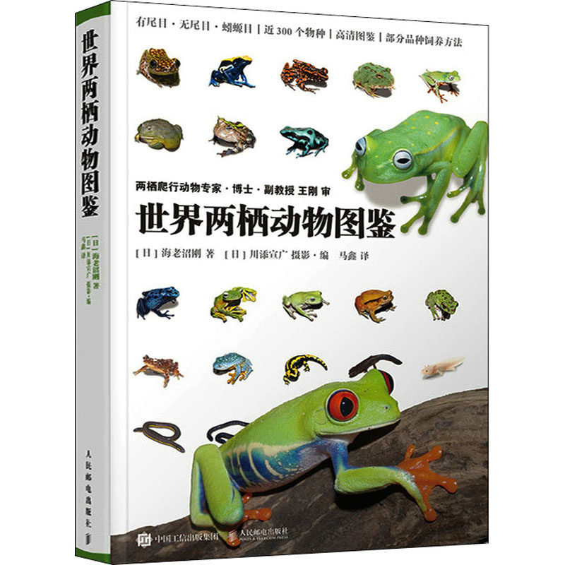 世界两栖动物图鉴 (日)海老沼刚 正版书籍 新华书店旗舰店文轩官网 人民邮电出版社