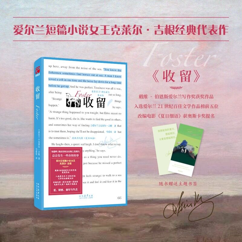 收留 克莱尔·吉根著 正版全译戴维·伯恩斯奖获奖作品奥斯卡入围影片《夏日细语》原著 爱尔兰乡间的温情救赎寄养女孩的治愈蜕变