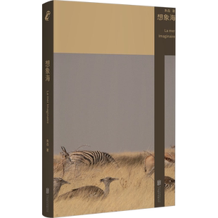 【豆瓣2024年书单】想象海 朱岳全新短篇科幻小说集 在极短篇幅内 展现多种可能世界 洗练的文字下 暗藏诡谲的故事与谜题 正版书籍
