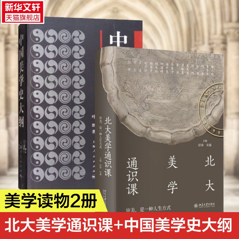 全2册中国美学史大纲+北大美学通识课 彭锋 讲座实录 附赠课堂视频 中国古代佛教艺术欣赏敦煌艺术中国美术史 宋代诗词自然观照