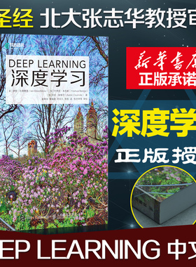 深度学习花书deep learning中文版 AI书籍图灵奖得主作品 神经网络框架算法机器人系统编程机器学习人工智能教程教材chatgpt书正版