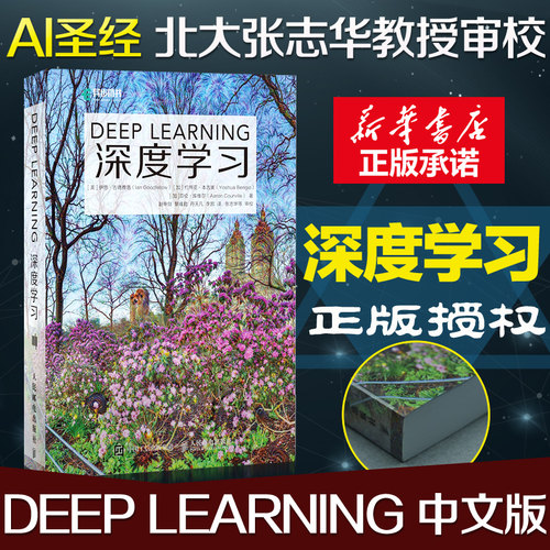 深度学习领域奠基性的经典图书