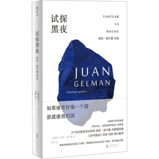 胡安·赫尔曼诗选 试探黑夜 新华文轩 北京联合出版 正版 书籍小说畅销书 阿根廷 新华书店旗舰店文轩官网 胡安·赫尔曼 公司