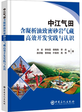 中江气田含凝析油致密砂岩气藏高效开发实践与认识 刘言 等 正版书籍 新华书店旗舰店文轩官网 中国石化出版社