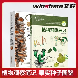 【全2册】植物观察笔记+世界上不可思议的果实种子图鉴 名校小学生手绘思维观察训练 内容翔实 图文并茂