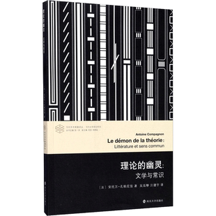 理论的幽灵 文学与常识当代学术棱镜译丛 当代文学理论系列理论的幽灵 安托万 孔帕尼翁 外国文学 南京大学出版社