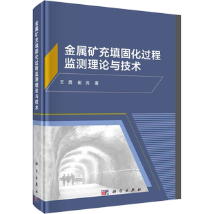 金属矿充填固化过程监测理论与技术 王勇,崔亮 正版书籍 新华书店旗舰店文轩官网 科学出版社