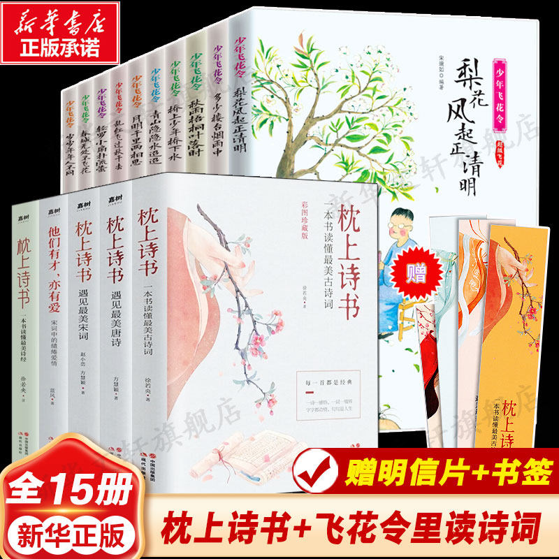枕上诗书系列+飞花令里读诗词