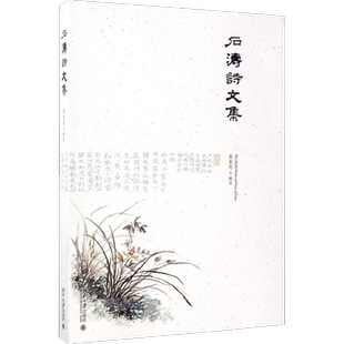 石涛诗文集 朱良志 辑注 唐诗宋词元曲正版古诗词大全文集鉴赏文学书籍 新华书店旗舰店文轩官网 北京大学出版社