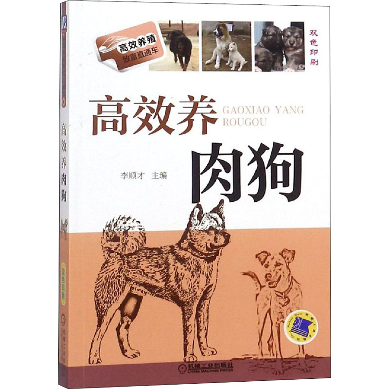 官网正版 高效养肉狗 李顺才 养殖致富直通车 经典实用技术图书 农业技能