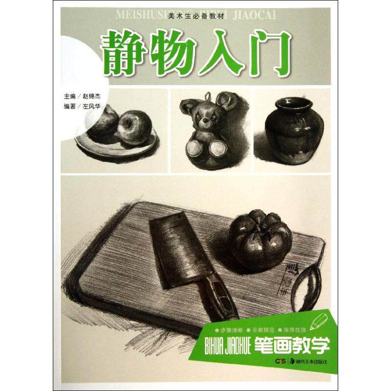 静物入门 左风华 正版书籍 新华书店旗舰店文轩官网 湖南美术出版社
