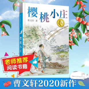 曹文轩樱桃小庄 曹文轩纯美小说系列草房子青铜葵花儿童文学 江苏少儿出版社二三四五六年级中小学生青少年课外阅读书籍