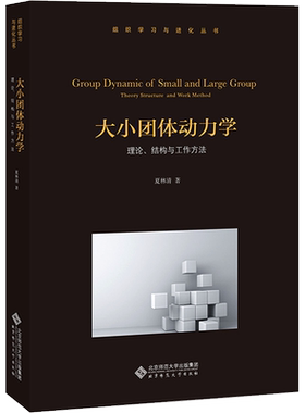 大小团体动力学 理论、结构与工作方法 夏林清 北京师范大学出版社 正版书籍 新华书店旗舰店文轩官网