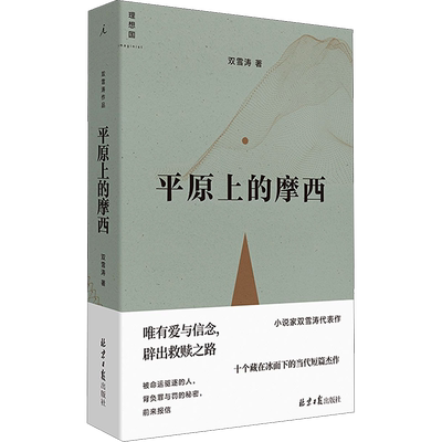 正版平原上的摩西双雪涛原著小说