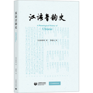 【新华文轩】汉语音韵史 (美)沈钟伟 正版书籍 新华书店旗舰店文轩官网 上海教育出版社