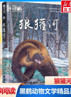 狼獾河 黑鹤动物文学小说精品系列 小学生三四五六年级课外阅读书目6-9-12岁儿童读物格日勒其木格故事图书籍老师寒暑假推荐正版